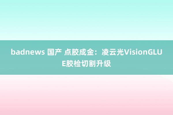 badnews 国产 点胶成金：凌云光VisionGLUE胶检切割升级