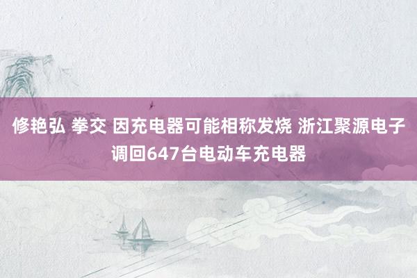 修艳弘 拳交 因充电器可能相称发烧 浙江聚源电子调回647台电动车充电器