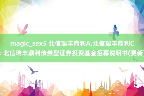 magic_sex5 北信瑞丰鼎利A,北信瑞丰鼎利C: 北信瑞丰鼎利债券型证券投资基金招募说明书(更新)