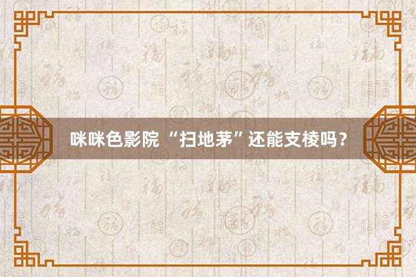 咪咪色影院 “扫地茅”还能支棱吗？
