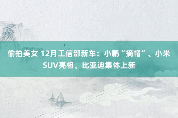 偷拍美女 12月工信部新车：小鹏“摘帽”、小米SUV亮相、比亚迪集体上新