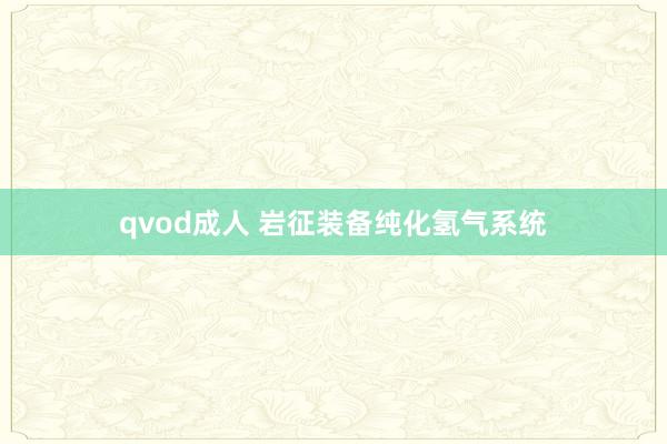 qvod成人 岩征装备纯化氢气系统