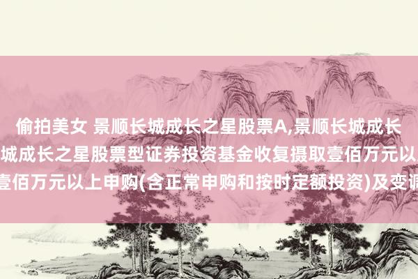 偷拍美女 景顺长城成长之星股票A,景顺长城成长之星股票C: 对于景顺长城成长之星股票型证券投资基金收复摄取壹佰万元以上申购(含正常申购和按时定额投资)及变调转入业务的公告