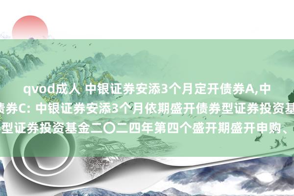 qvod成人 中银证券安添3个月定开债券A,中银证券安添3个月定开债券C: 中银证券安添3个月依期盛开债券型证券投资基金二〇二四年第四个盛开期盛开申购、赎回业务的公告