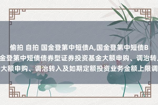 偷拍 自拍 国金登第中短债A,国金登第中短债B: 对于对单个基金账户国金登第中短债债券型证券投资基金大额申购、调治转入及如期定额投资业务金额上限调治的公告