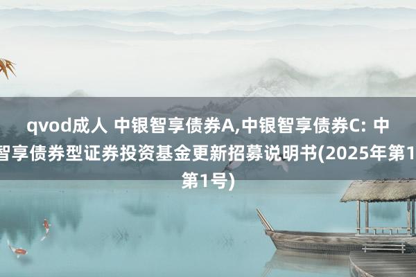 qvod成人 中银智享债券A,中银智享债券C: 中银智享债券型证券投资基金更新招募说明书(2025年第1号)