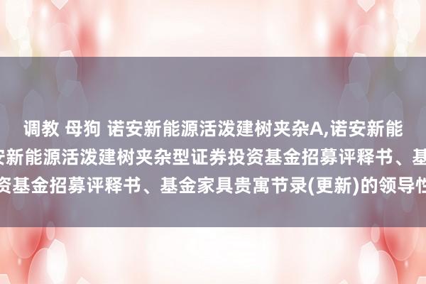 调教 母狗 诺安新能源活泼建树夹杂A,诺安新能源活泼建树夹杂C: 诺安新能源活泼建树夹杂型证券投资基金招募评释书、基金家具贵寓节录(更新)的领导性公告