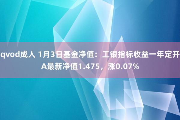 qvod成人 1月3日基金净值：工银指标收益一年定开A最新净值1.475，涨0.07%