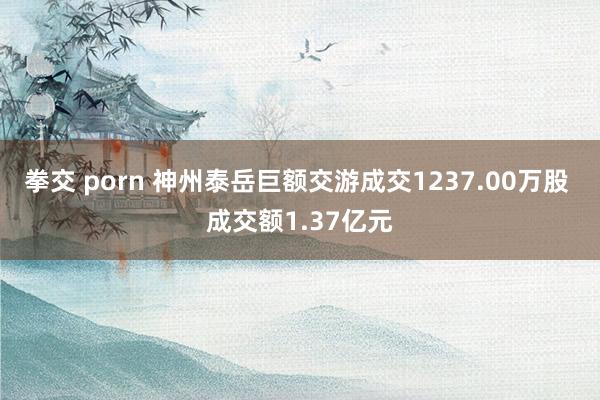 拳交 porn 神州泰岳巨额交游成交1237.00万股 成交额1.37亿元