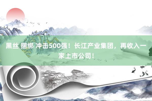 黑丝 捆绑 冲击500强！长江产业集团，再收入一家上市公司！