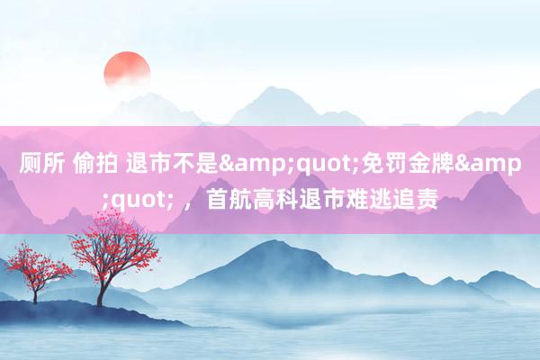 厕所 偷拍 退市不是&quot;免罚金牌&quot; ，首航高科退市难逃追责