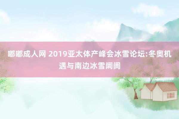 嘟嘟成人网 2019亚太体产峰会冰雪论坛:冬奥机遇与南边冰雪阛阓