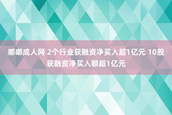 嘟嘟成人网 2个行业获融资净买入超1亿元 10股获融资净买入额超1亿元