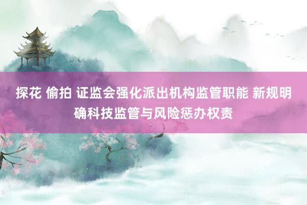 探花 偷拍 证监会强化派出机构监管职能 新规明确科技监管与风险惩办权责