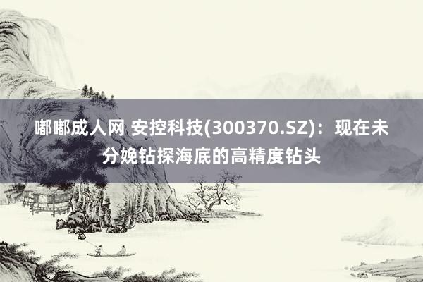 嘟嘟成人网 安控科技(300370.SZ)：现在未分娩钻探海底的高精度钻头
