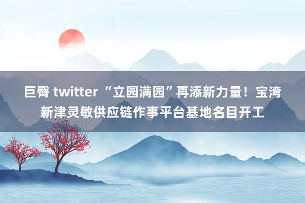 巨臀 twitter “立园满园”再添新力量！宝湾新津灵敏供应链作事平台基地名目开工
