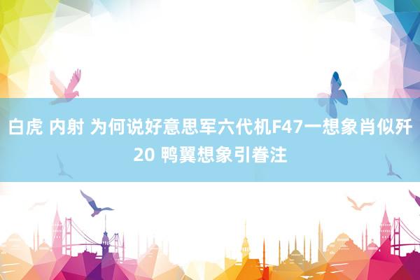 白虎 内射 为何说好意思军六代机F47一想象肖似歼20 鸭翼想象引眷注