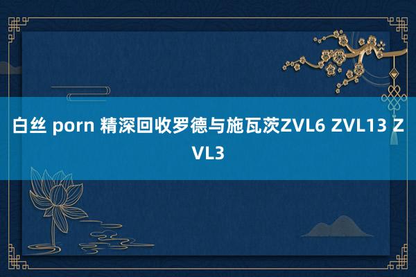 白丝 porn 精深回收罗德与施瓦茨ZVL6 ZVL13 ZVL3