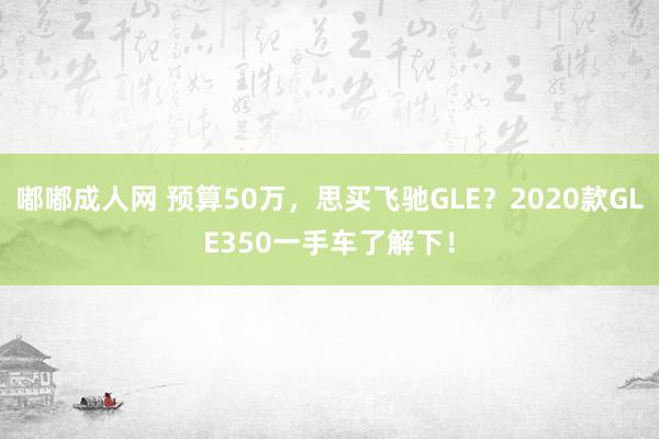嘟嘟成人网 预算50万，思买飞驰GLE？2020款GLE350一手车了解下！
