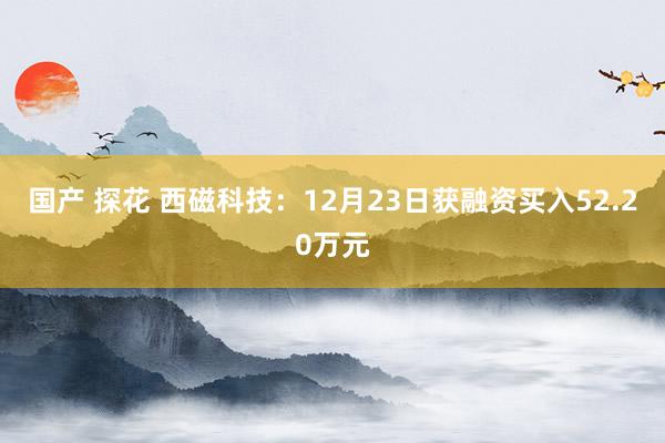 国产 探花 西磁科技：12月23日获融资买入52.20万元