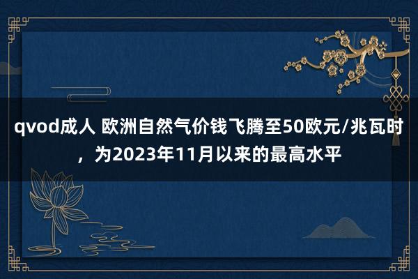 qvod成人 欧洲自然气价钱飞腾至50欧元/兆瓦时，为2023年11月以来的最高水平