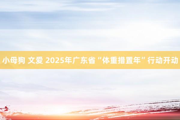小母狗 文爱 2025年广东省“体重措置年”行动开动