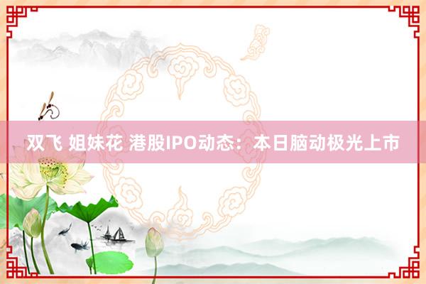 双飞 姐妹花 港股IPO动态：本日脑动极光上市