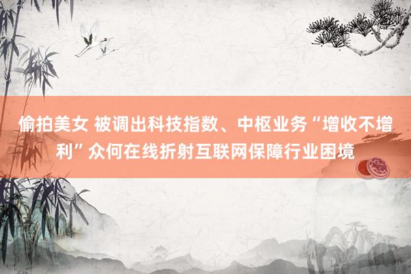 偷拍美女 被调出科技指数、中枢业务“增收不增利”众何在线折射互联网保障行业困境