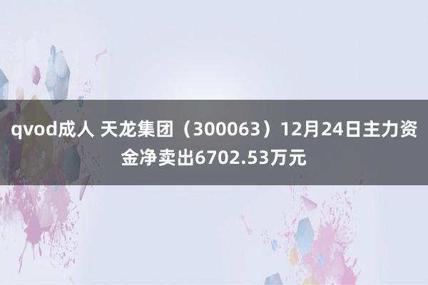 qvod成人 天龙集团（300063）12月24日主力资金净卖出6702.53万元