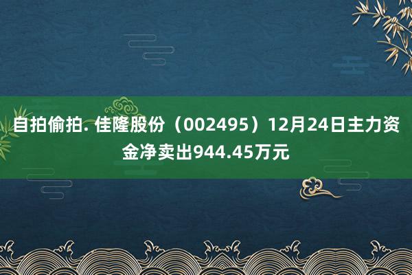 自拍偷拍. 佳隆股份（002495）12月24日主力资金净卖出944.45万元