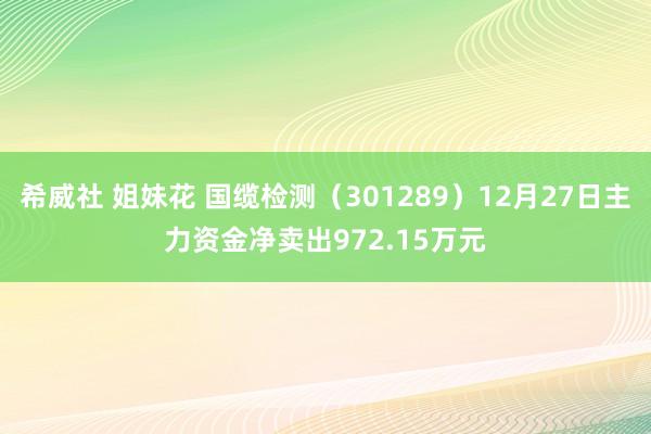 希威社 姐妹花 国缆检测（301289）12月27日主力资金净卖出972.15万元
