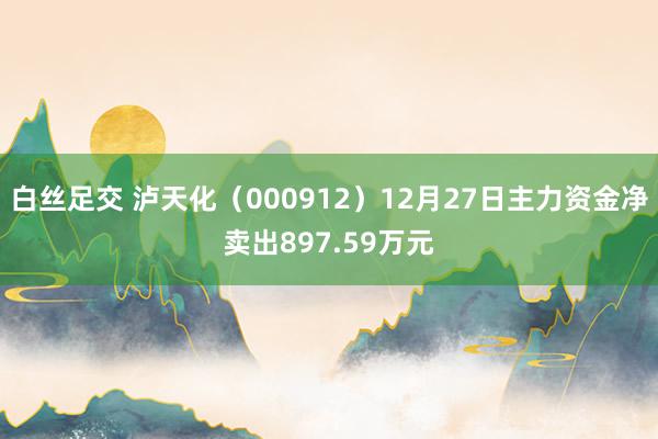 白丝足交 泸天化（000912）12月27日主力资金净卖出897.59万元