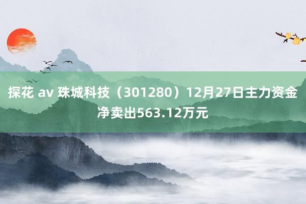 探花 av 珠城科技（301280）12月27日主力资金净卖出563.12万元