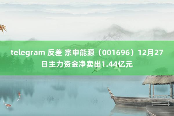 telegram 反差 宗申能源（001696）12月27日主力资金净卖出1.44亿元