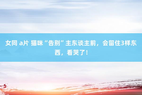 女同 a片 猫咪“告别”主东谈主前，会留住3样东西，看哭了！