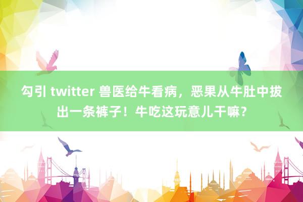 勾引 twitter 兽医给牛看病，恶果从牛肚中拔出一条裤子！牛吃这玩意儿干嘛？