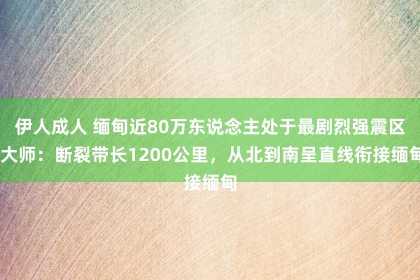 伊人成人 缅甸近80万东说念主处于最剧烈强震区 大师：断裂带长1200公里，从北到南呈直线衔接缅甸