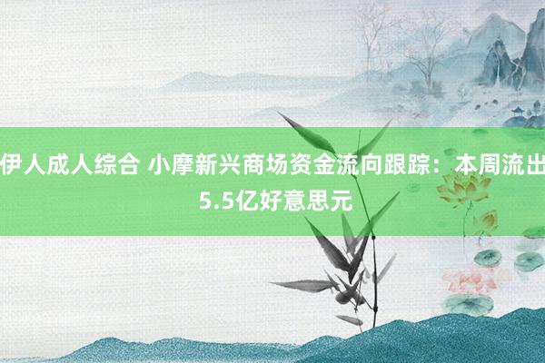 伊人成人综合 小摩新兴商场资金流向跟踪：本周流出 5.5亿好意思元