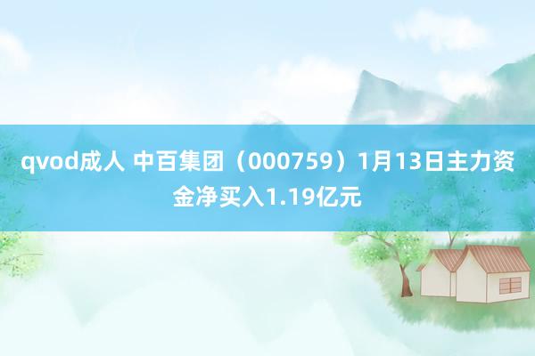 qvod成人 中百集团（000759）1月13日主力资金净买入1.19亿元