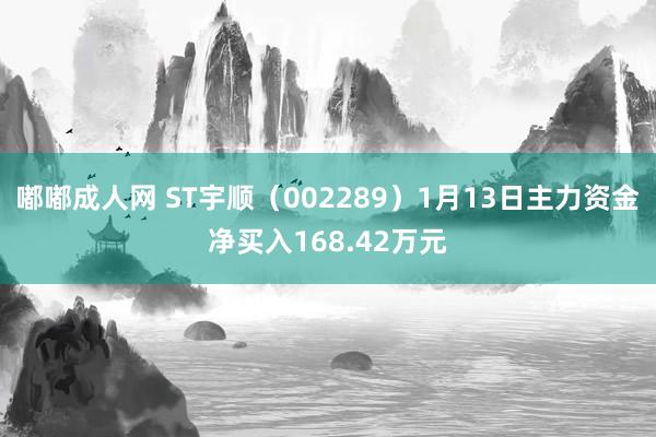 嘟嘟成人网 ST宇顺（002289）1月13日主力资金净买入168.42万元