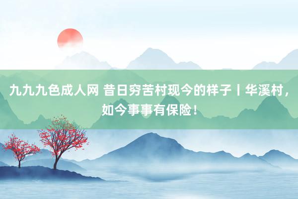 九九九色成人网 昔日穷苦村现今的样子丨华溪村，如今事事有保险！