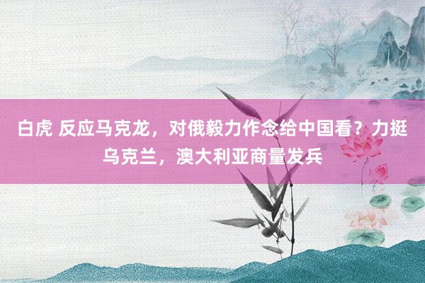 白虎 反应马克龙，对俄毅力作念给中国看？力挺乌克兰，澳大利亚商量发兵
