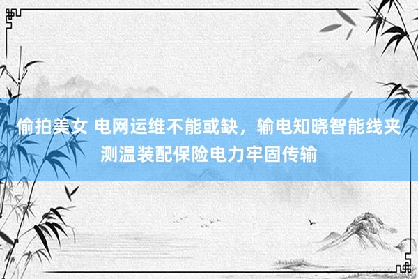 偷拍美女 电网运维不能或缺，输电知晓智能线夹测温装配保险电力牢固传输