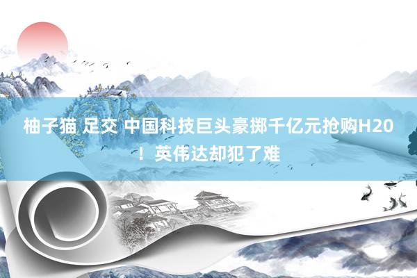 柚子猫 足交 中国科技巨头豪掷千亿元抢购H20！英伟达却犯了难