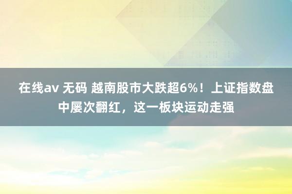 在线av 无码 越南股市大跌超6%！上证指数盘中屡次翻红，这一板块运动走强