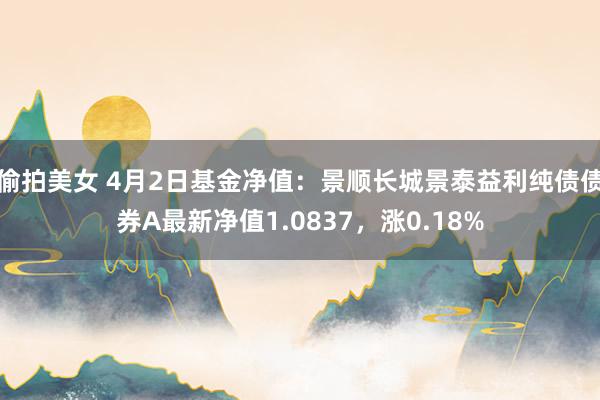 偷拍美女 4月2日基金净值：景顺长城景泰益利纯债债券A最新净值1.0837，涨0.18%