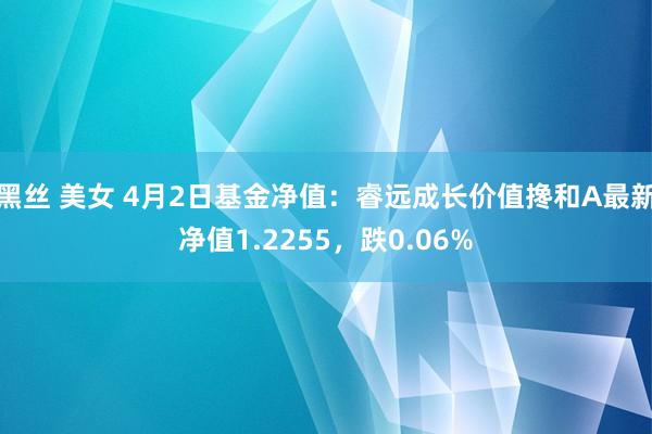 黑丝 美女 4月2日基金净值：睿远成长价值搀和A最新净值1.2255，跌0.06%
