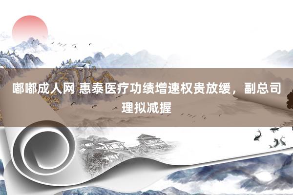 嘟嘟成人网 惠泰医疗功绩增速权贵放缓，副总司理拟减握