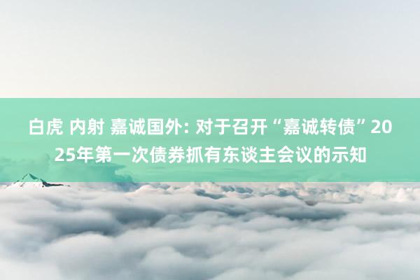 白虎 内射 嘉诚国外: 对于召开“嘉诚转债”2025年第一次债券抓有东谈主会议的示知