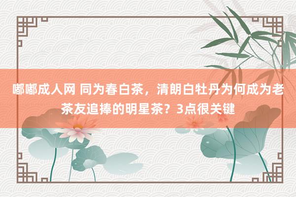 嘟嘟成人网 同为春白茶，清朗白牡丹为何成为老茶友追捧的明星茶？3点很关键